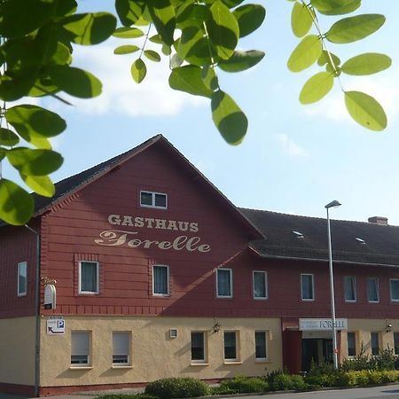 Gasthaus Forelle Hotel Thale Exterior foto